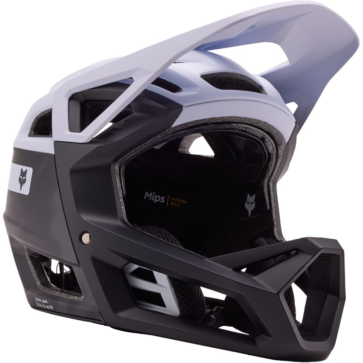 Proframe RS Helmet