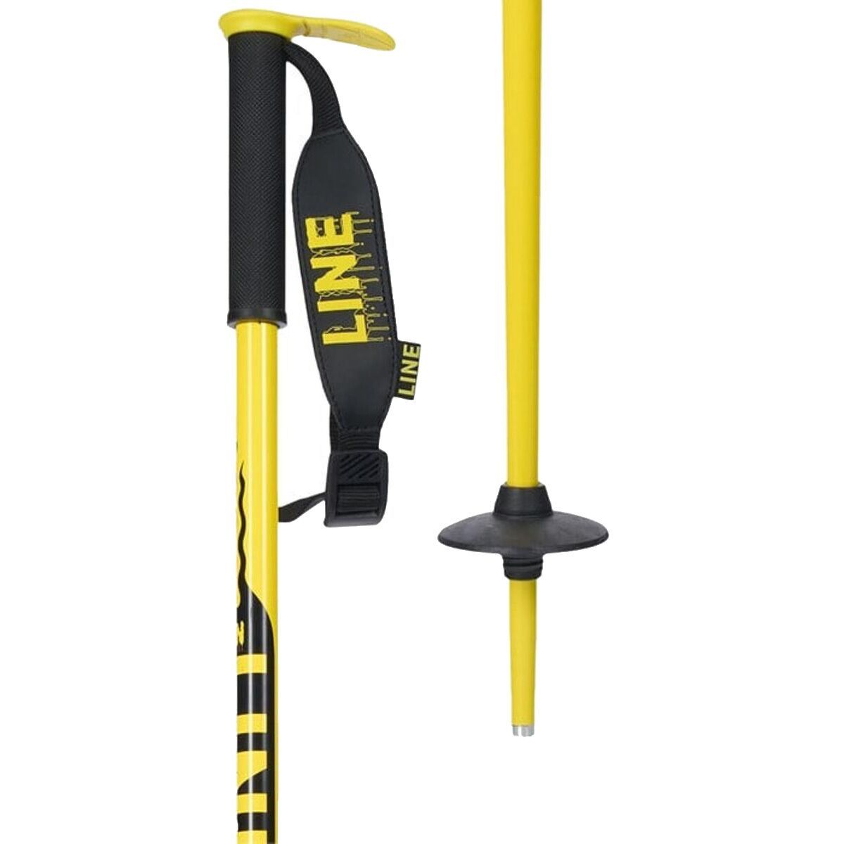 Pin Ski Poles