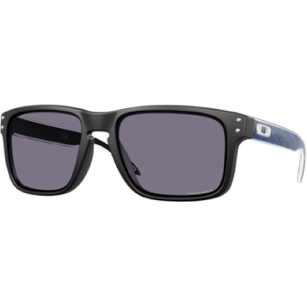 Holbrook Prizm Sunglasses