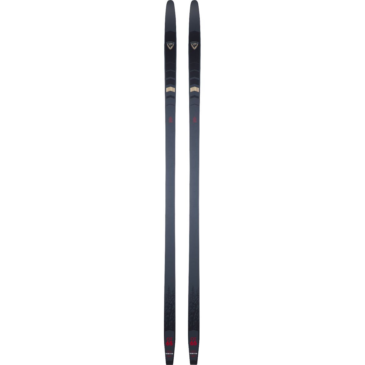 Rossignol Evo OT 65 Positrack Ski - 2026 - $289.95 at Level Nine Sports