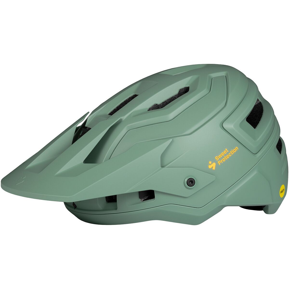Bushwhacker 2VI Mips Helmet