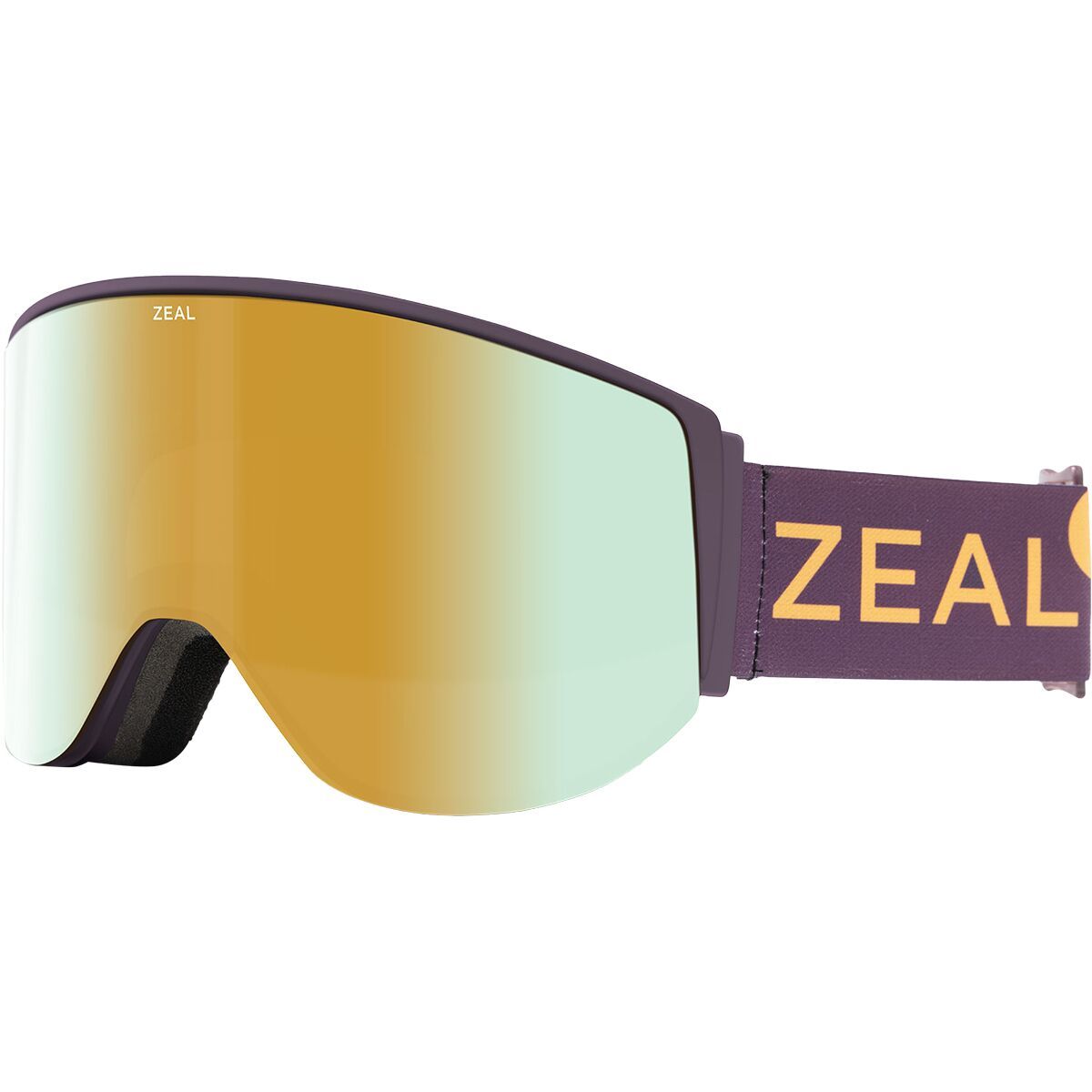 Beacon Polarized Goggles